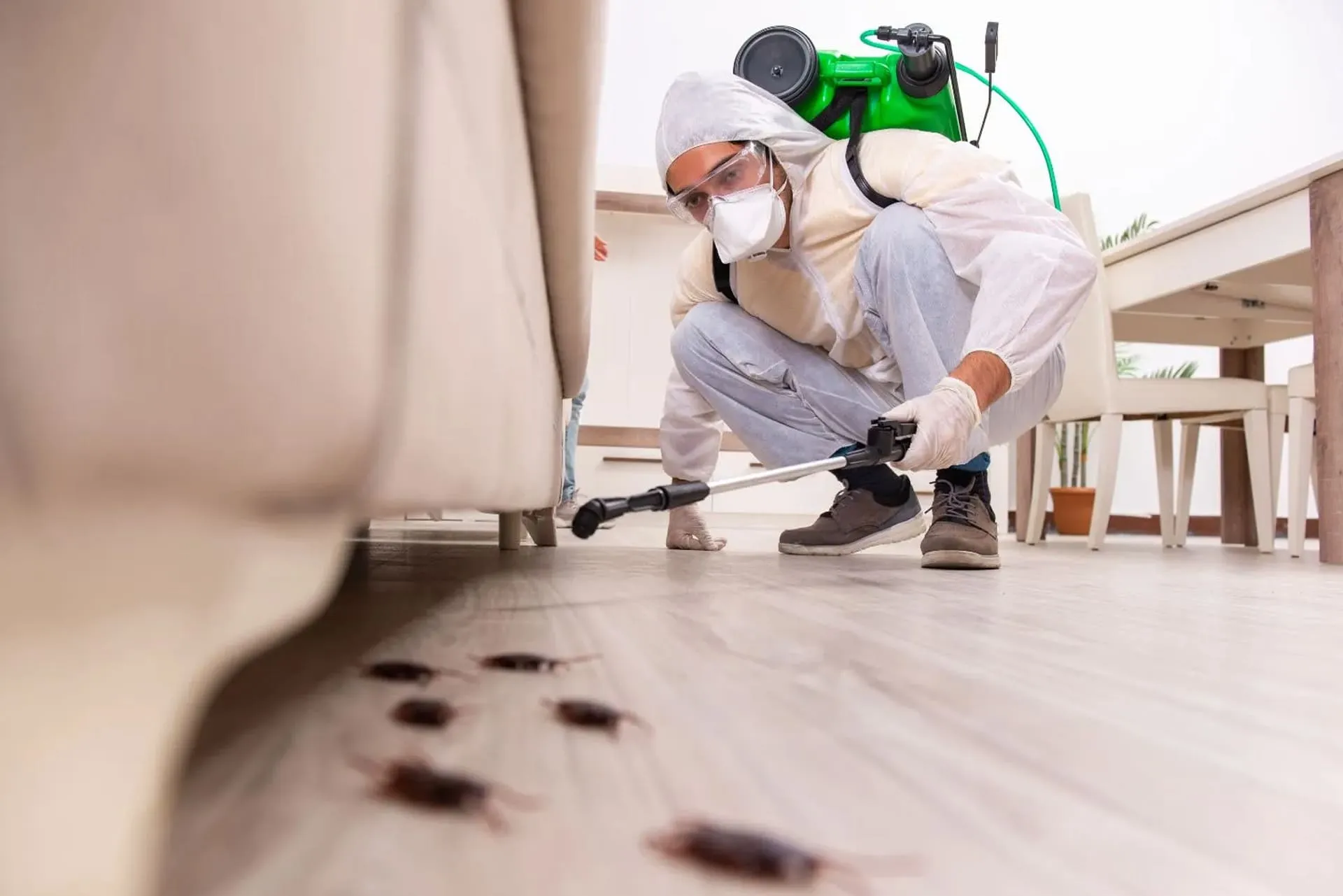 pest Control Services in coimbatore