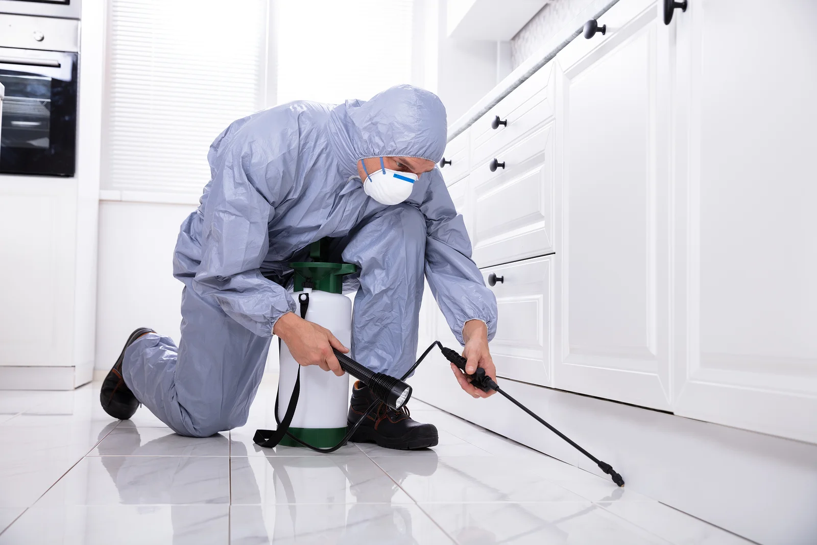 Cleaning service near me